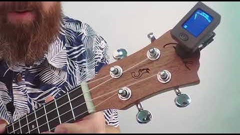 How to tuning ukulele with digital tuner
