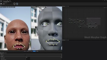 Overview of the advanced Landmark system in Mesh Morpher Graph