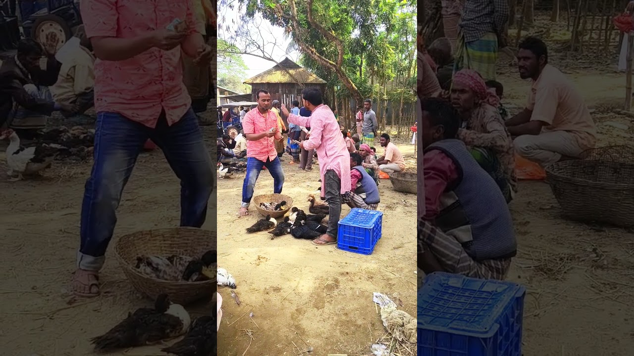 Funny Duck Market Twist 🤣🤷