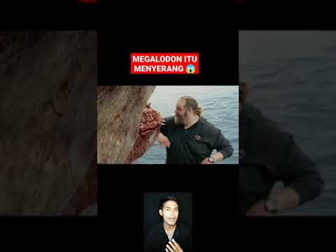 Video: Adakah serangan megalodon merosot?