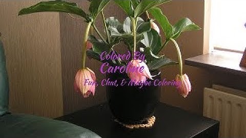 interactive mixed media part 2