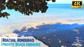 Your Personal Paradise - Private Beach Ambience & Relaxing Guitar | Roatan, Honduras