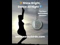DIsco Ball Necklace - Dance all night like nobodies watching