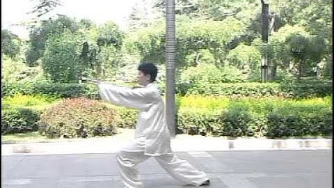 簡化２４式太極拳（全套后面）。。。宗維潔老師zong weijie