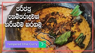 හැමෝම නොදන්න පරිප්පු තෙම්පරාදුව | Dhal Tempering | Vegetarian recipes Sinhala | Veggie Rasa