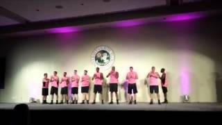 Pi Kappa Phi -  ZTA Step Dynasty 2012-2015