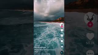 Tiksaver Pro - Download Videos With No Watermark