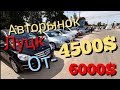 Авторынок Луцк самый большой в Украине цены от 4000-6000$ и выше