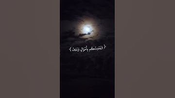 تلاوة خاشعة تريح القلب 💙 🌹 قران كريم بصوت ماهر المعيقلي 🌱