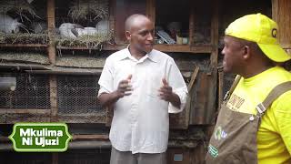 Mkulima Ni Ujuzi : BioGas From Rabbit Waste #FlexiBiogas