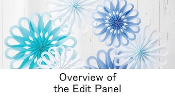 Overview of the Edit Panel