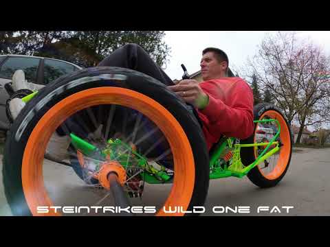 Steintrikes Wild One FAT 20/26