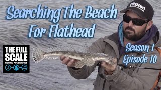 Searching The Beach For Bluespot Flathead | The Full Scale