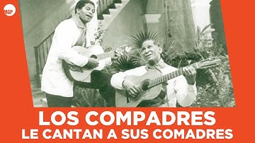 Los Compadres | Hay un Run Run (Son) | Los Compadres le Cantan a Sus Comadres | Music MGP