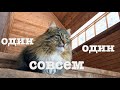 #90. Один день один. [Жизнь на своей земле]