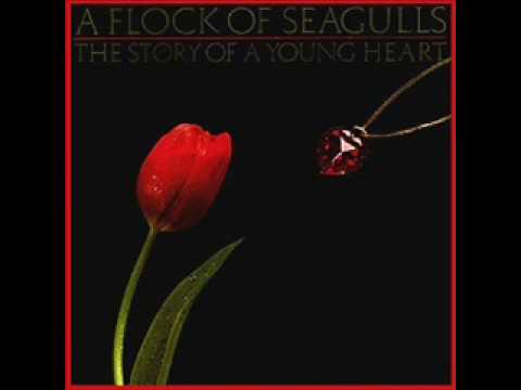 Putar Remember David - A Flock of Seagulls