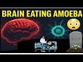 दिमाग खाने वाला अमीबा 🧠⚠️ | केरल में खौफ का सच | Naegleria fowleri Explained in Hindi