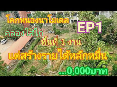 ตอนที่1 โคกหนองนาโมเดลพื้นที่ 1 งาน สร้างรายได้หลักหมื่น เกษตรพอเพียง เกษตรยุคใหม่