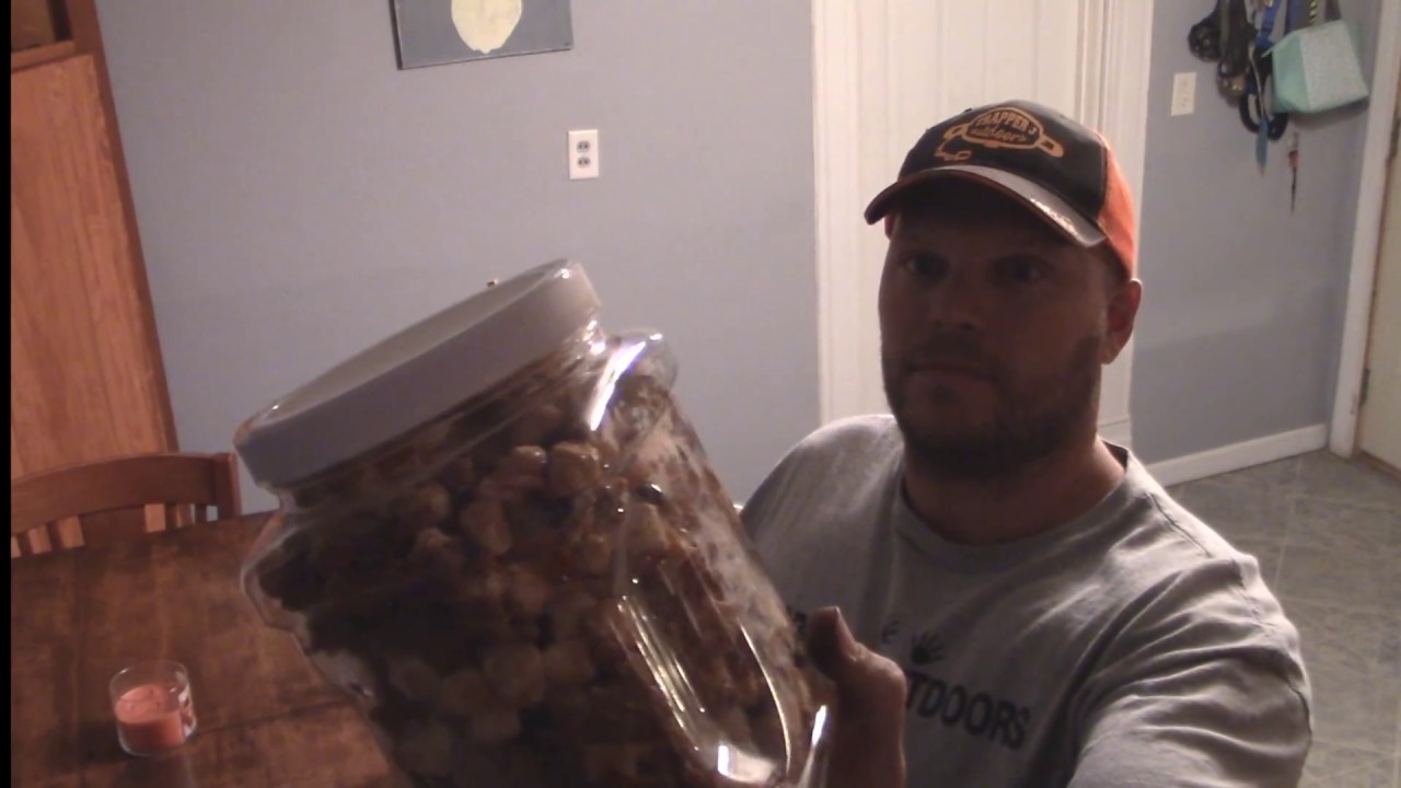 Homemade raccoon bait for dog proof traps “dp’s” YouTube