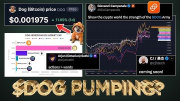 Why is $DOG Pumping Today? 📈
