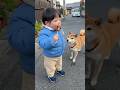 A naughty dog vs a hungry kid 😅🐕　#funnyshorts #dogshorts #petshorts