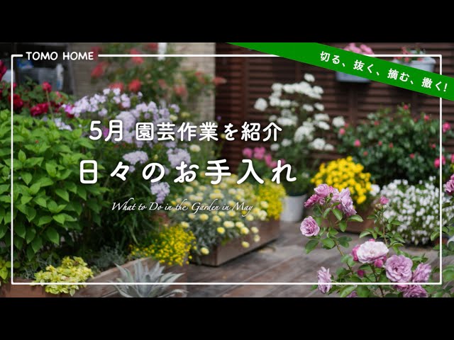 Gardening motivation up!] Cut, pull, pick and sow! Introducing