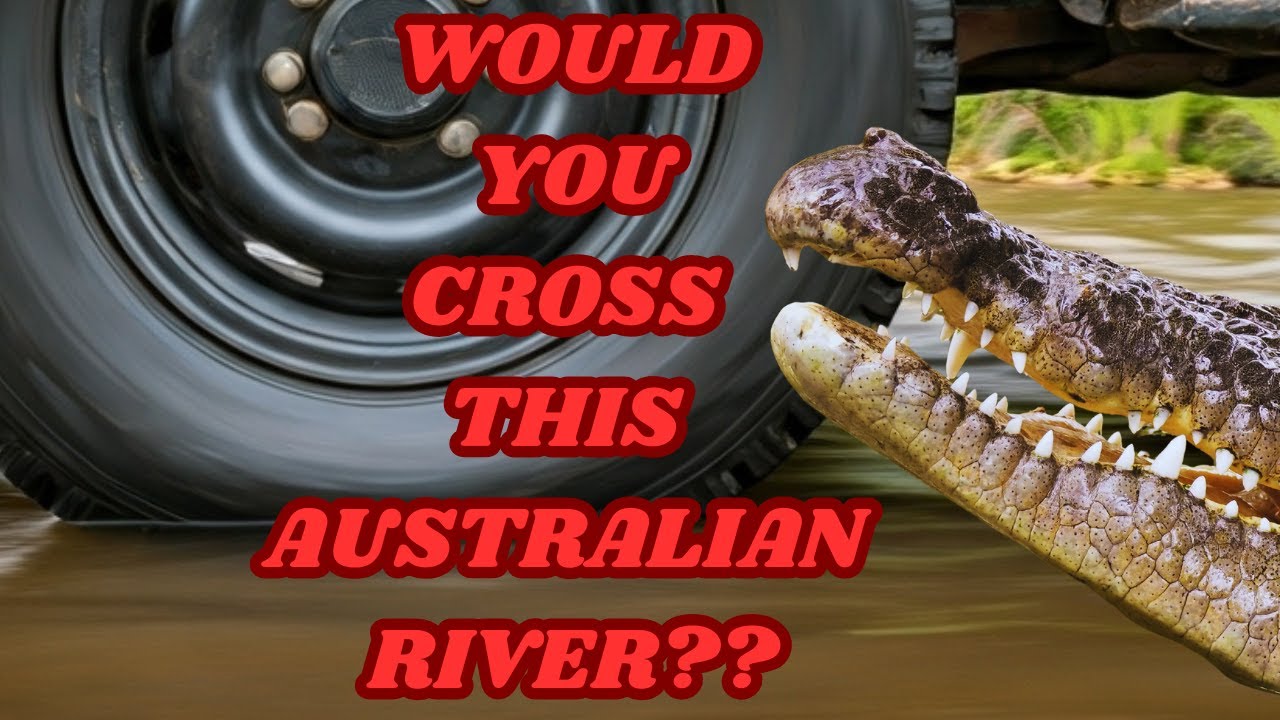 THE CROCODILES OF CAHILL'S CROSSING