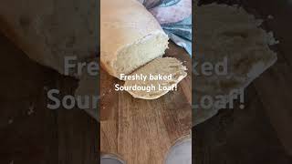 Our Sourdough Loaf is always a hit!! #homemade #bread #sourdough #sourdoughbaking #homemade
