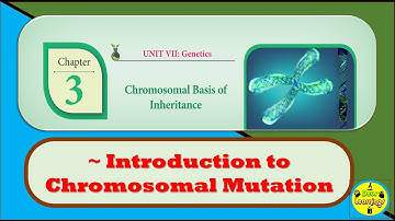 Chromosomal Mutations | Chromosomal Basis of Inheritance | Tamil (Bilingual)