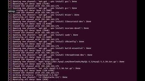 auto exploit