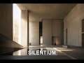 Neoclassical Deep Focus Music for Relaxation and Concentration