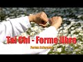 Tai chi  forme libre  forum asiarama