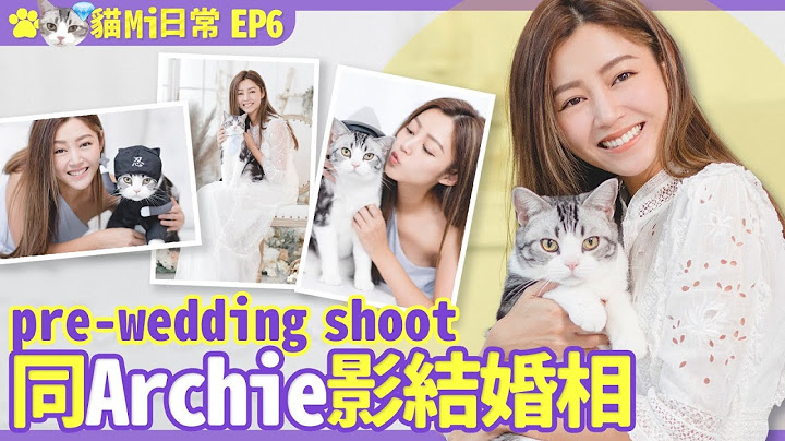 衛詩雅 Michelle Wai - 同Archie影結婚相 pre-wedding shoot 意外發現男友小三竟然係!!【 貓Mi日常 EP6 】