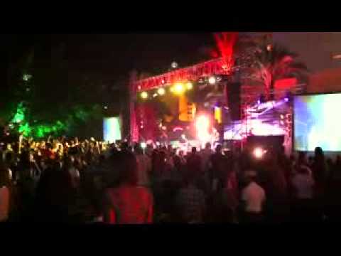 עומר אדם בתימניאדה החיים דבש 