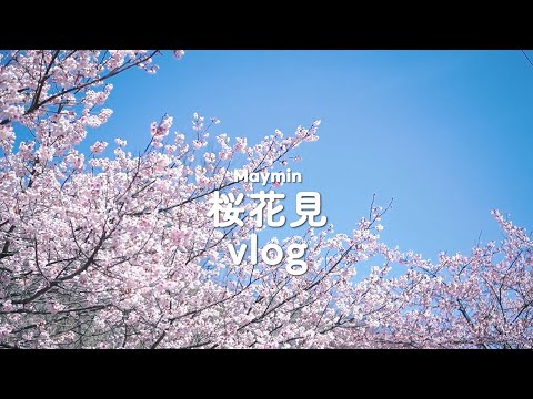 일본에서 가장 빨리 피는 벚꽃 | 시즈오카 가와즈 벚꽃 여행 | 니시히라바타케공원의 후지산과 벚꽃 풍경 보고 온 여행 | 메이민 vlog