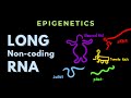 Long Non-coding RNA | Epigenetics | GATE/CSIR-NET