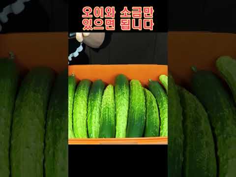 그래도 전통 방식이죠 👍👍 세상 쉽게 담아 내년까지 먹는 <strong>오이지</strong> <strong>담그는</strong> <strong>법</strong>