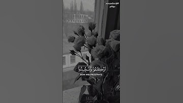 يايها الذين آمنوا اركعوا واسجدوا|الحج#القارئ_عبدالرحمن_مسعد#فـاطـمـه_FATIMA#قرآن#راحة_نفسيه#allah#yt