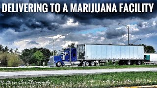 I delivered to a marijuana planting facility | trucking vlog| Kenworth w900L