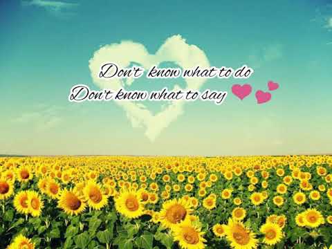 Don't know what to do - Mark Carpio/ lyrics