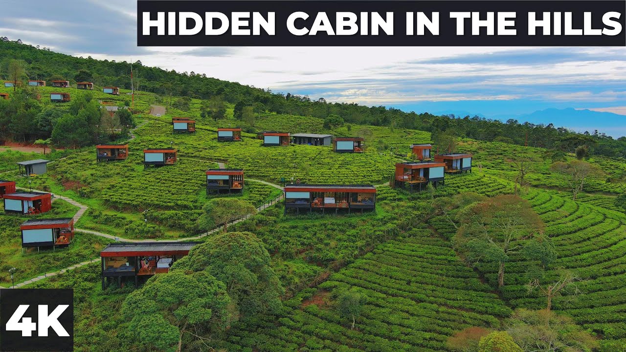 Bobocabin Sukawana  | Glamping di Tengah Kebun Teh 🌿 | Relaxing Review with Natural Ambience & Music