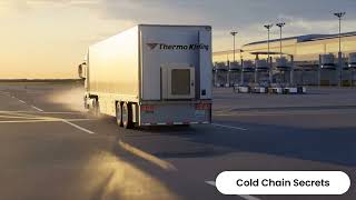 THE INVISIBLE COLD CHAIN | How Global Pharma Stays Alive