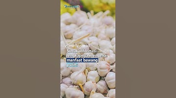 MANFAAT BAWANG PUTIH UNTUK KESEHATAN DAN CARA MENGKONSUMSINYA