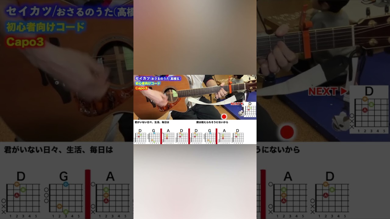 セイカツ/おさるのうた(高橋玄)を初心者向けギターコードで弾き語り