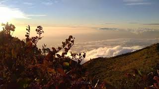 STORY WA | Puncak Gunung Lawu | 3.265 MDPL