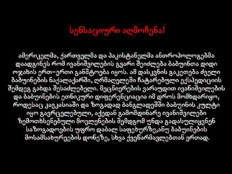 ივანიშვილები--ბაბუინები