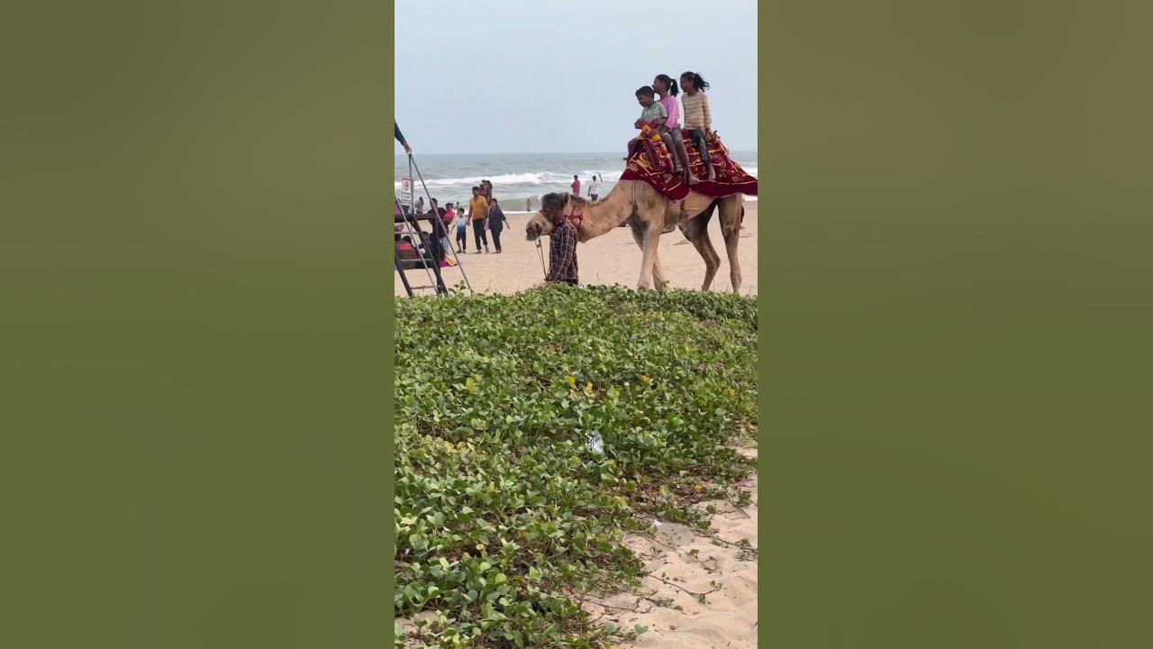pondicherry-eden-beach-blue-flag-threeshwaran-youtube