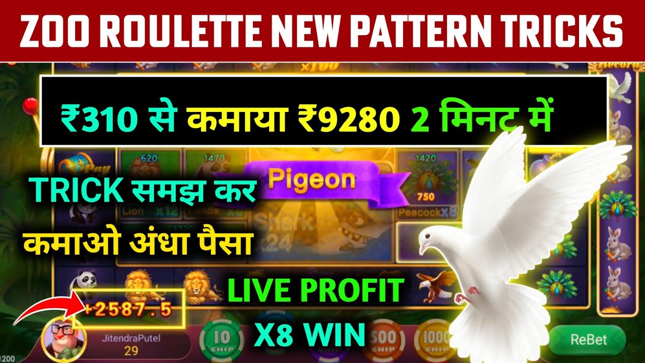 zoo roulette tricks 310 से 9280 जीत लिया | zoo roulette tricks today ...