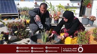 إبداع من وسط الركام.. زوجان فلسطينيان يحولان سطح منزلهما إلى حديقة خضراء
