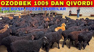 OZODBEK BUGUN NARXNI YORDI 400 MINGDAN ARZON BOLDI